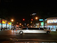 LAL-BR-Excursion- Miami by Limo